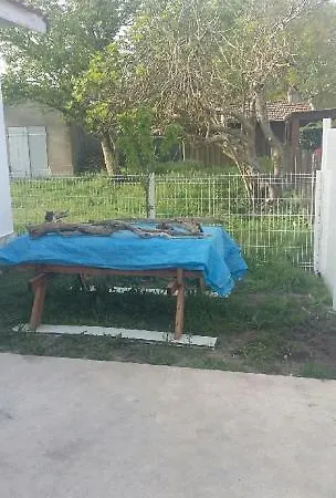 Tchanque ביסקארוס